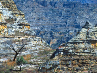 Into the wild – Isalo Park, Madagascar