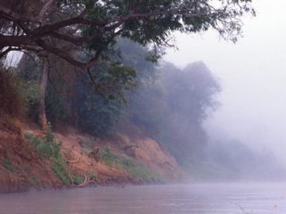 Misty Morning, Tsiribina River, Madagascar