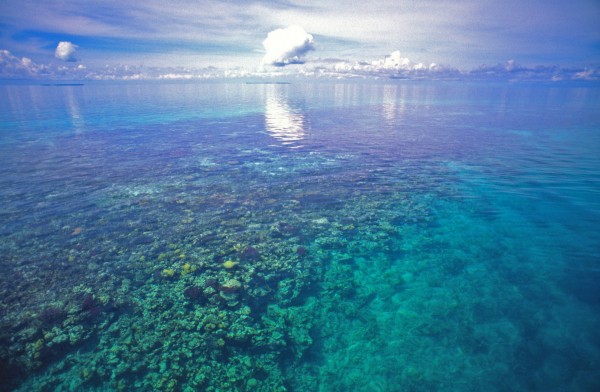 Blue Hole, Belize