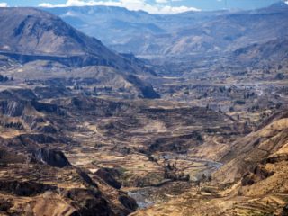 Canyon – Colca, Peru