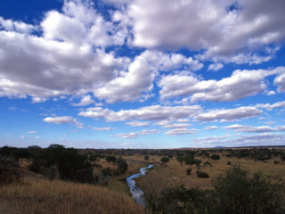 African Skies – Tarangire, Tanzania