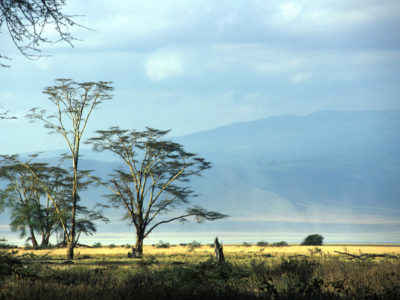 Tanzania